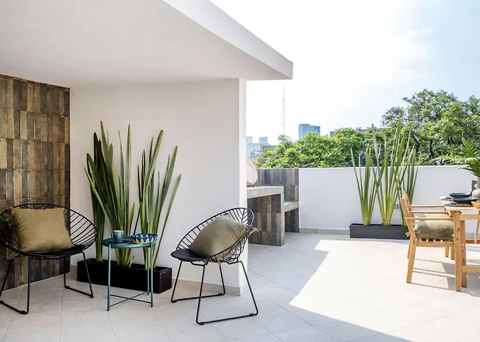 Amazinn Collection Cdmx Insurgentes