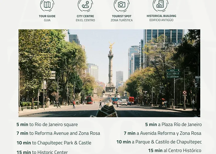 Amazinn Collection Cdmx Insurgentes Mexico City